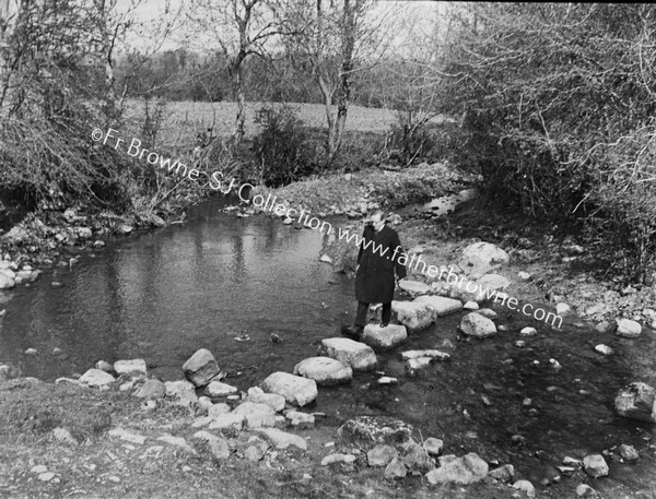 THE STEPPING STONES